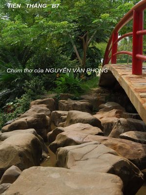 cover image of Chùm thơ của Nguyễn Văn Phong
